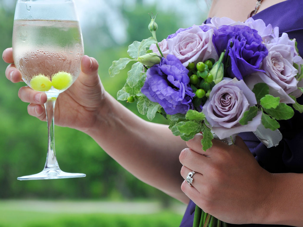 Steve Pomerleau Photography